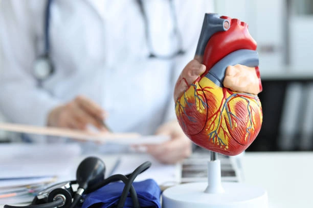 بهترین دکتر قلب تبریز